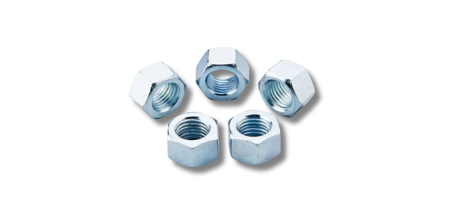 5 nuts on a white background